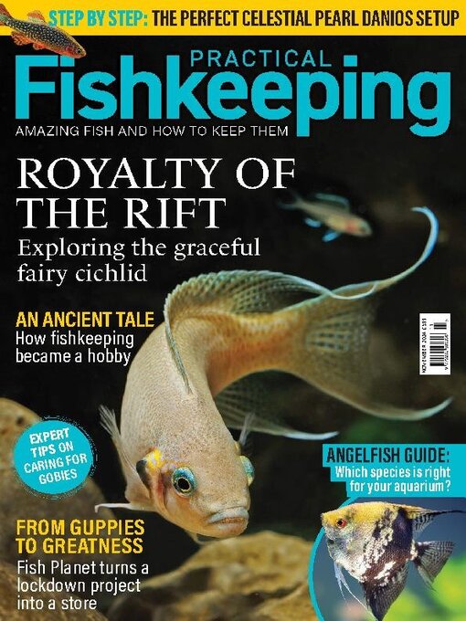 Title details for Practical Fishkeeping by Warners Group Publications Plc - Available